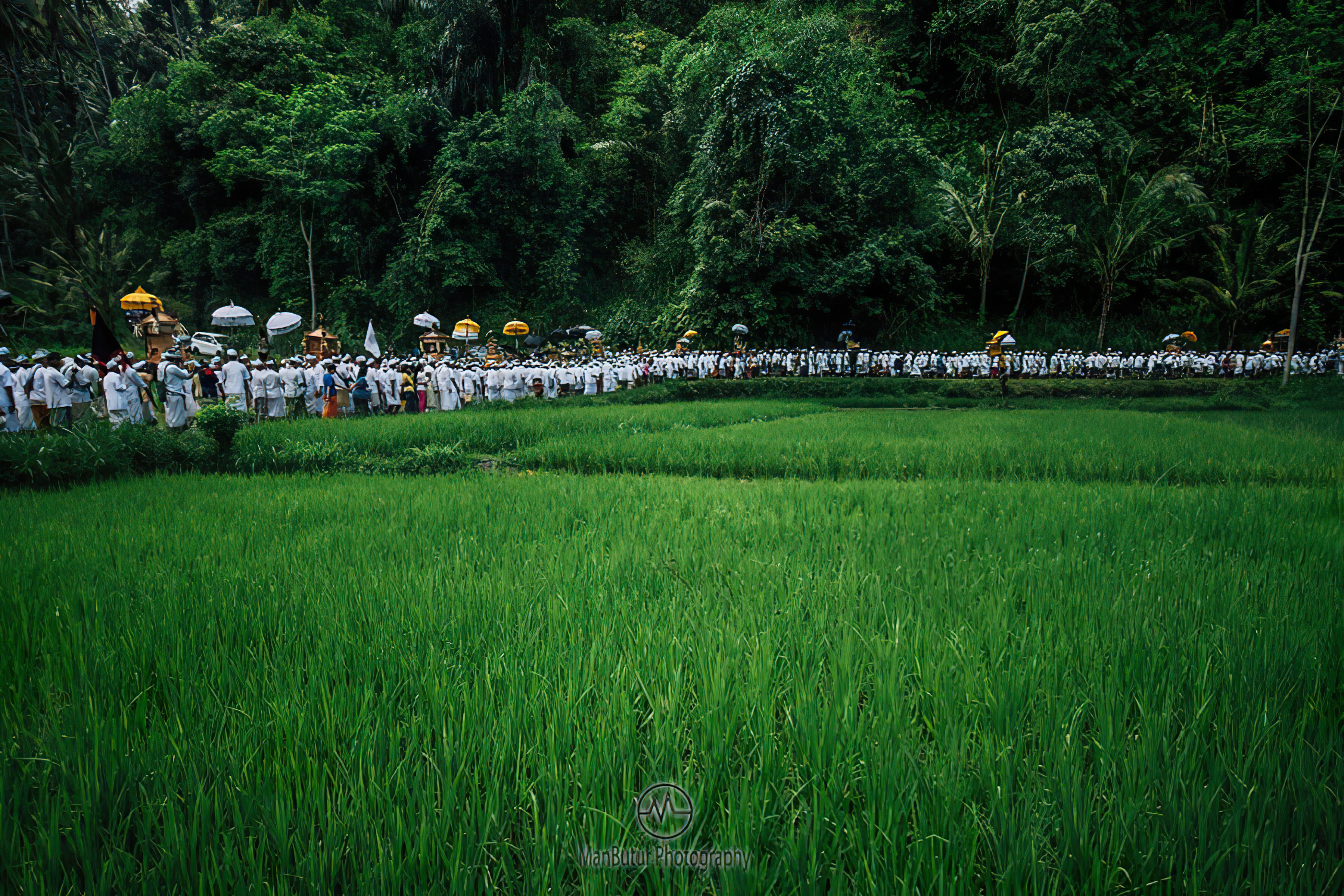Napak Tilas Catur Angga Batukaru: Subak, Sawah Terasering, dan Masa Depan Wisata Bali
